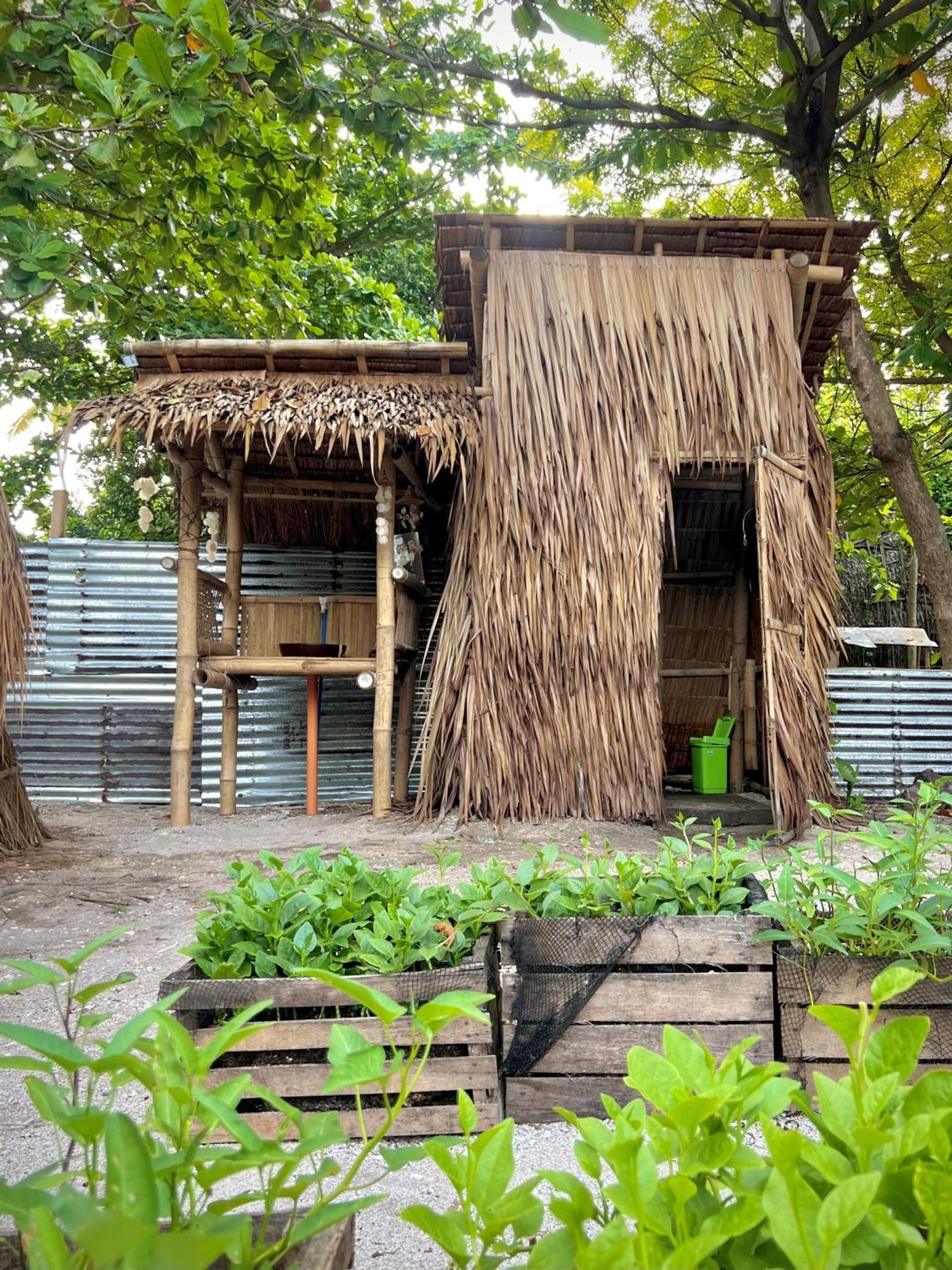 Hostel Tribal Huts Community Daanbantayan Zimmer foto