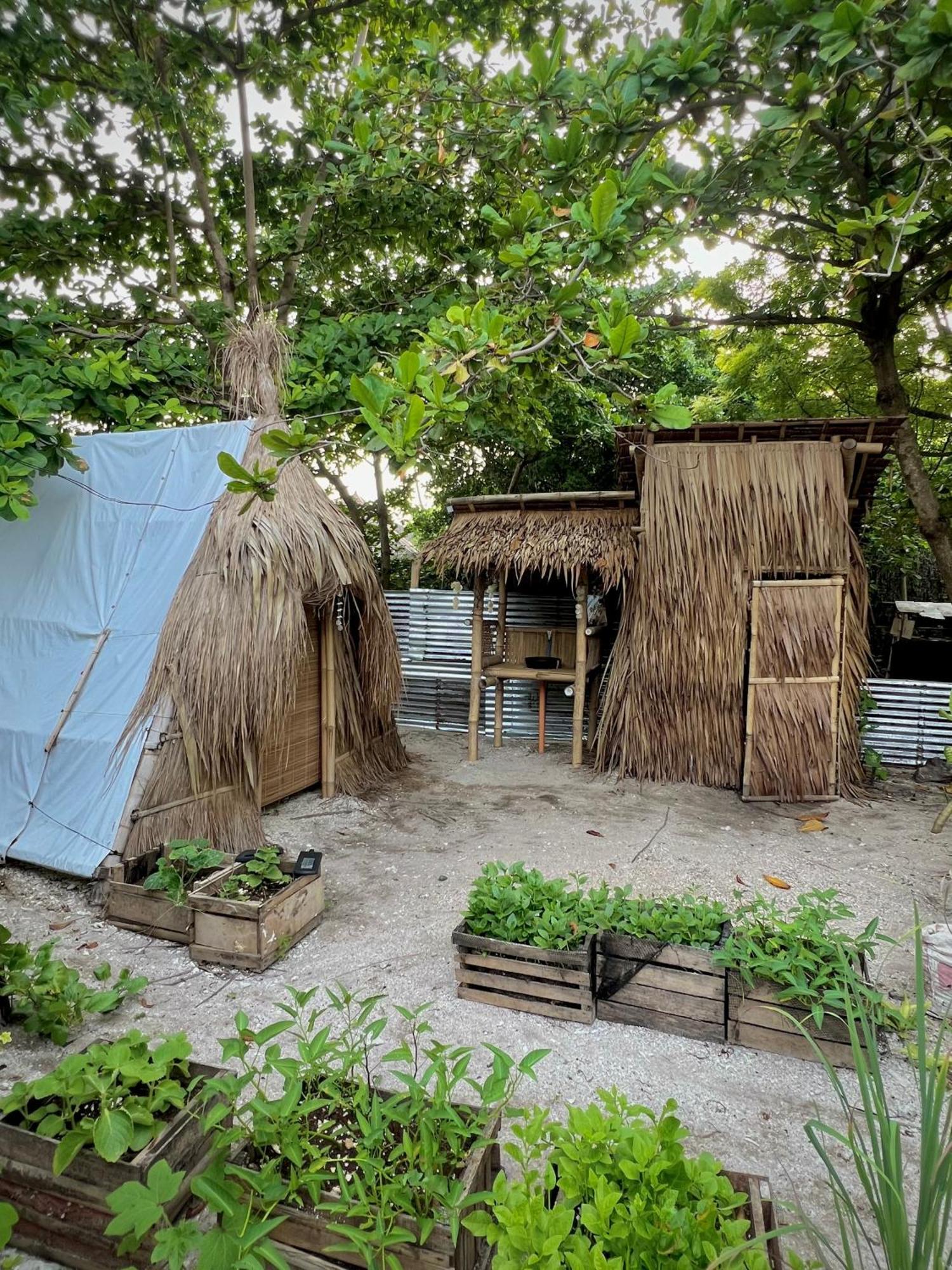 Hostel Tribal Huts Community Daanbantayan Exterior foto